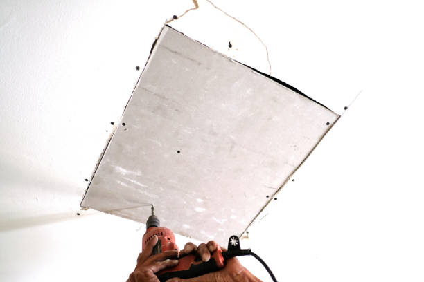 The Role of  Specialist  Examination in Drywall  Layout in Colorado